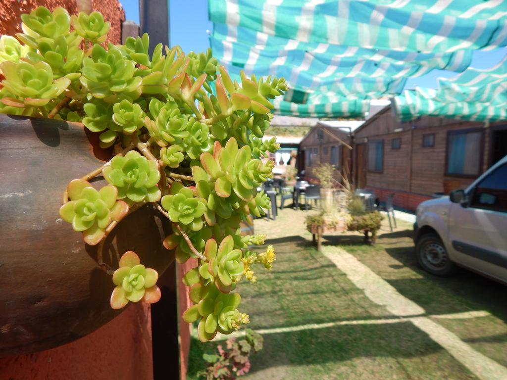 Hostal Del Suri Cafayate Buitenkant foto